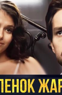 cypljonok-zharenyj-5-8-serii-detektiv-attachment