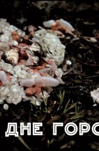 dokumentalnyj-film-quotna-dne-gorodaquot-attachment