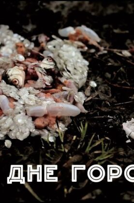 dokumentalnyj-film-quotna-dne-gorodaquot-attachment