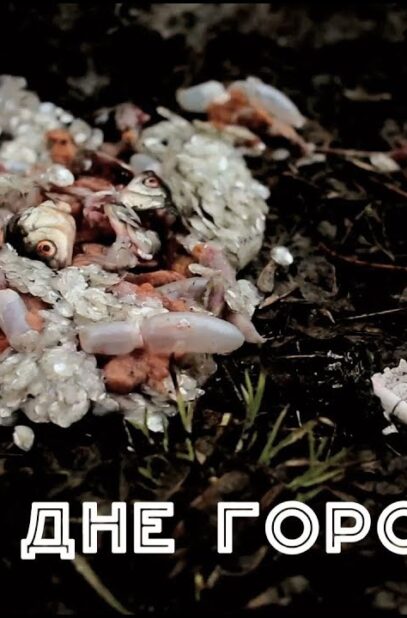 dokumentalnyj-film-quotna-dne-gorodaquot-attachment