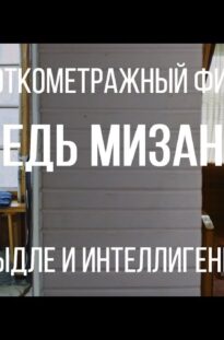 ispoved-mizantropa-rezh.-tatyana-zhukova-korotkometrazhnyj-film-2017-attachment