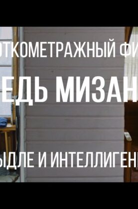 ispoved-mizantropa-rezh.-tatyana-zhukova-korotkometrazhnyj-film-2017-attachment