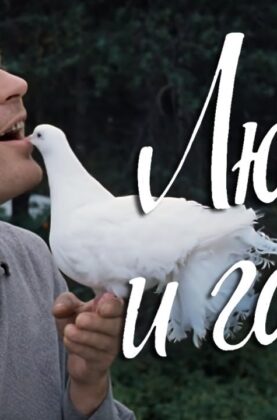 lubov-i-golubi-fullhd-komediya-rezh.-vladimir-menshov-1984-g-attachment