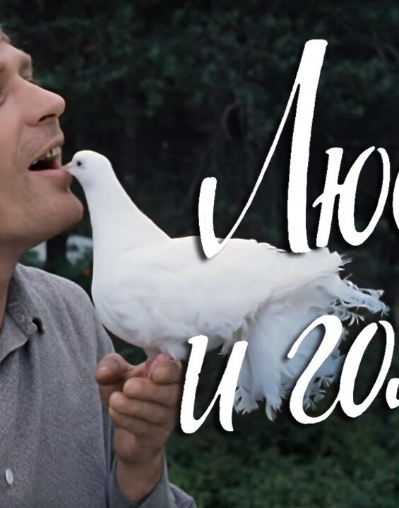 lubov-i-golubi-fullhd-komediya-rezh.-vladimir-menshov-1984-g-attachment